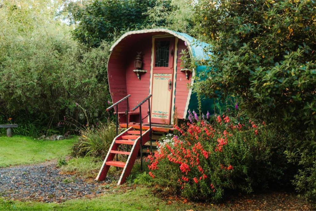 Owaka Pekapeka Tiny House By Tiny Away 빌라 외부 사진